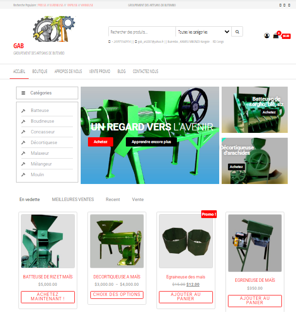 Site web professionnel réalisé par TechnoMedia RDC